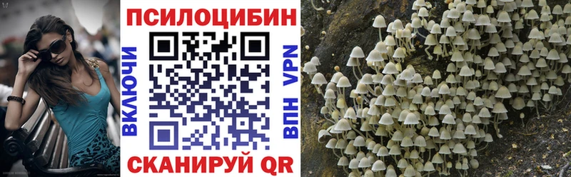 магазин продажи   Чита  кракен онион  Галлюциногенные грибы MAGIC MUSHROOMS 
